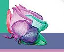 Sexualidade e Geopolítica